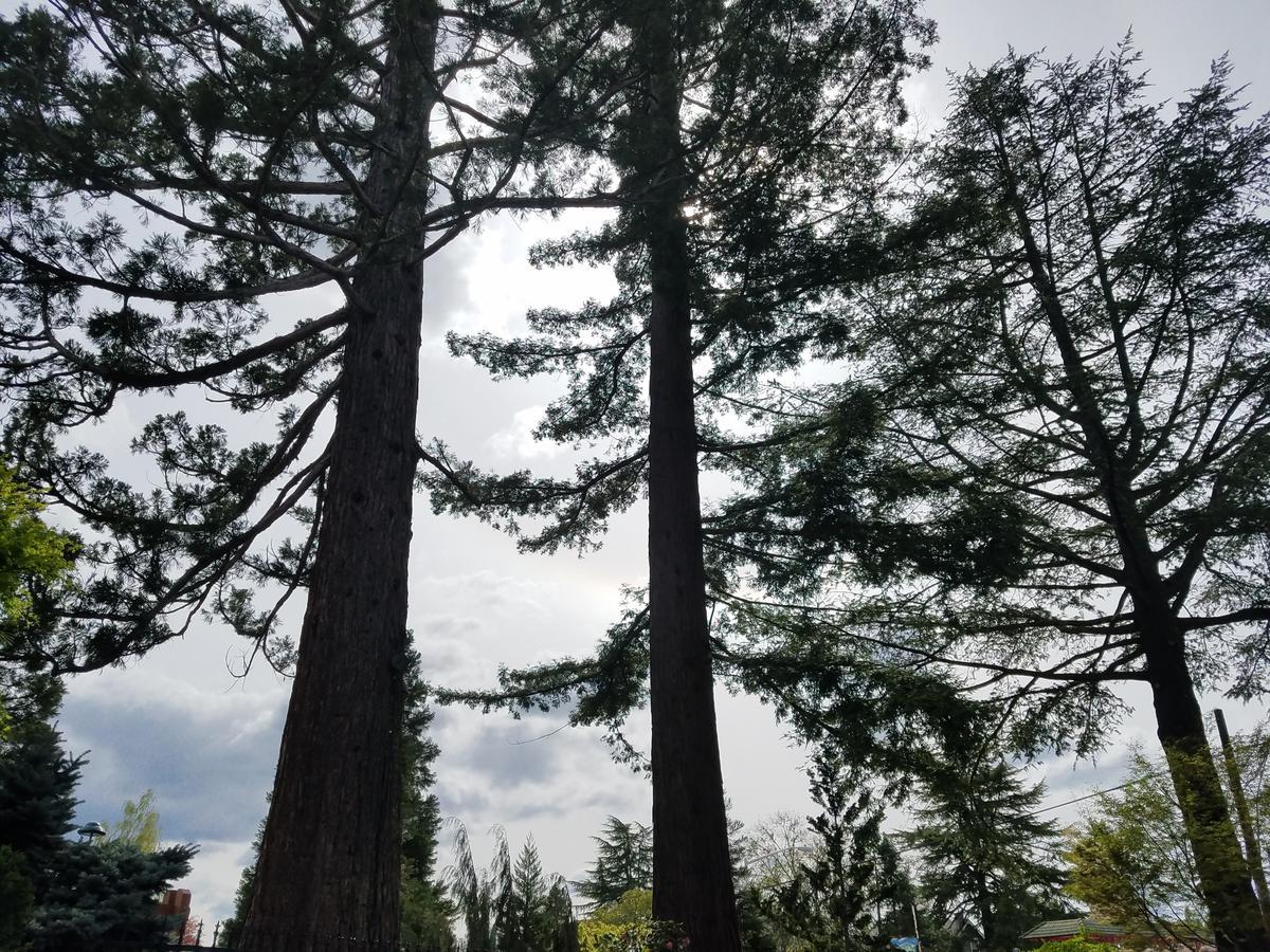 Redwood Hyperion Suites 格兰茨帕斯 外观 照片